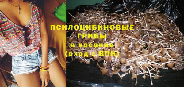 гидропоника Верхний Тагил