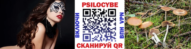 Псилоцибиновые грибы MAGIC MUSHROOMS Ростов